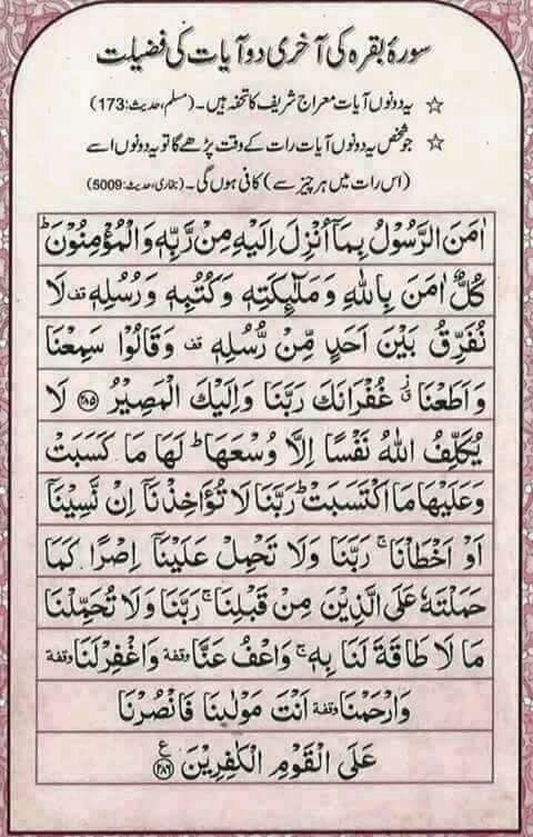 Inayatu54595673's tweet photo. اسلام علیکم
صبح بخیر https://t.co/NGyfiXrVzg