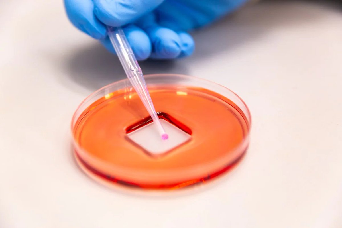 USYDBME's tweet photo. #USYDBME researcher Prof.@TricoliAntonio  and his colleagues developed a sprayable coating to protect surfaces from bacteria and viruses - such as COVID-19!

The coating can be an alternative to standard disinfectants, with longer effective periods and more stable potency 😬! https://t.co/tw01zunOBV