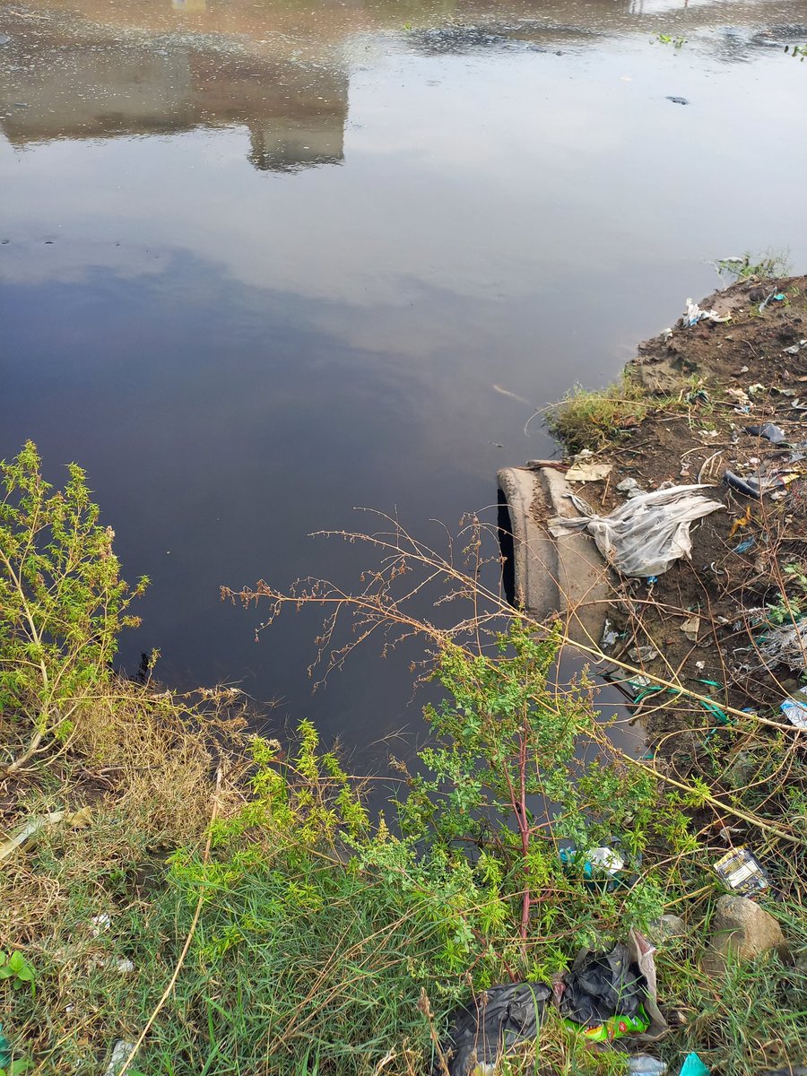 Lakhanpal1Cm's tweet photo. #FreedomfromPollution 
Missionless Organisations. Those who are supposed to be the Care Takers and Watch Dogs are Defunct, but in existence. #PPCB #MunicipalCorporations #DrainageDepartment #PUDAandGLADA #PlanningDepartment #DistrictEnvironmentalPlan.
 Many more. Chase them ! https://t.co/HCjauNElvX