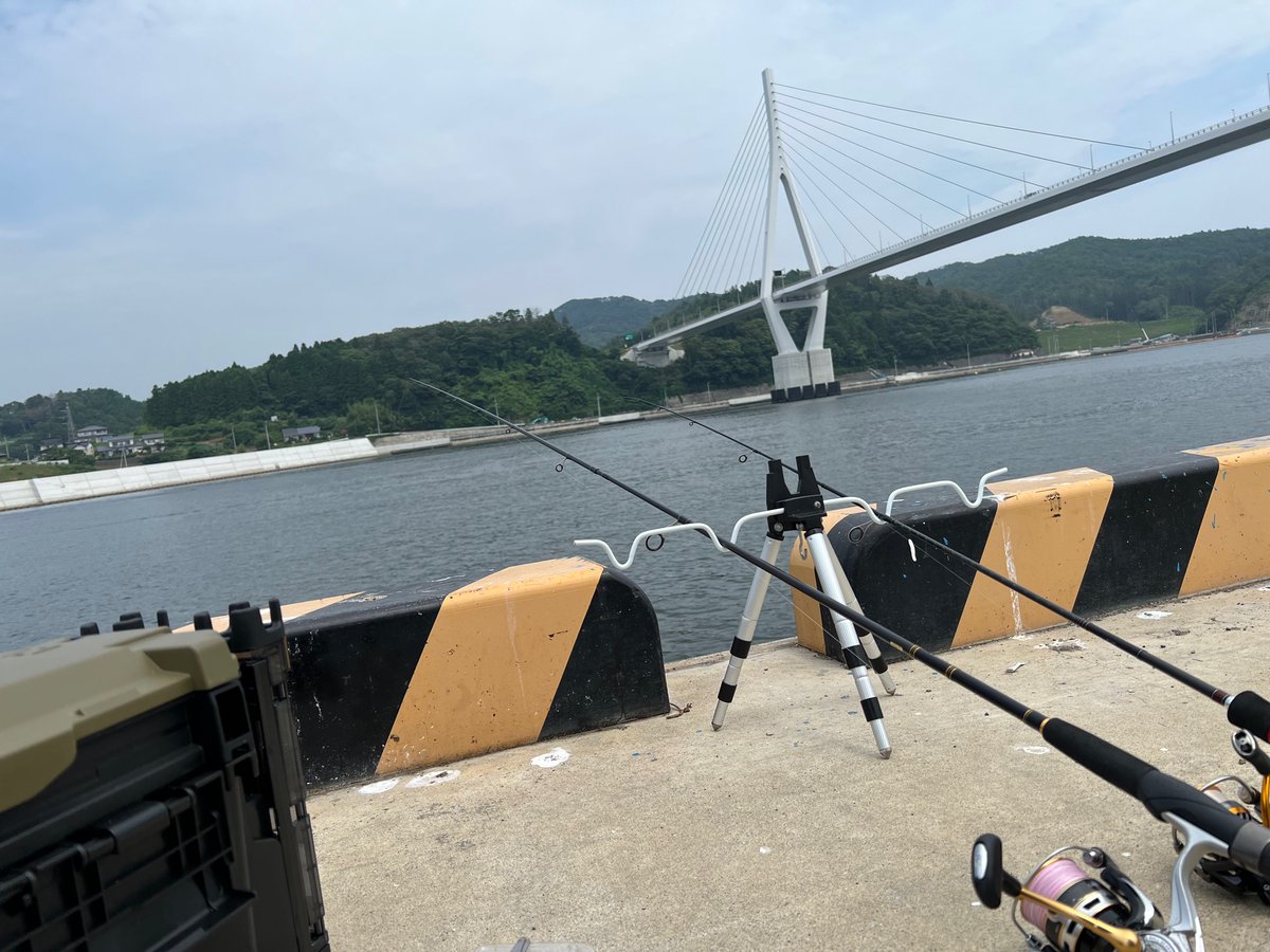 460sq_w's tweet photo. はぁ〜。。。
のどかな時間(´∀｀)
デッカい魚こないかなぁ https://t.co/WVApmBsiYn