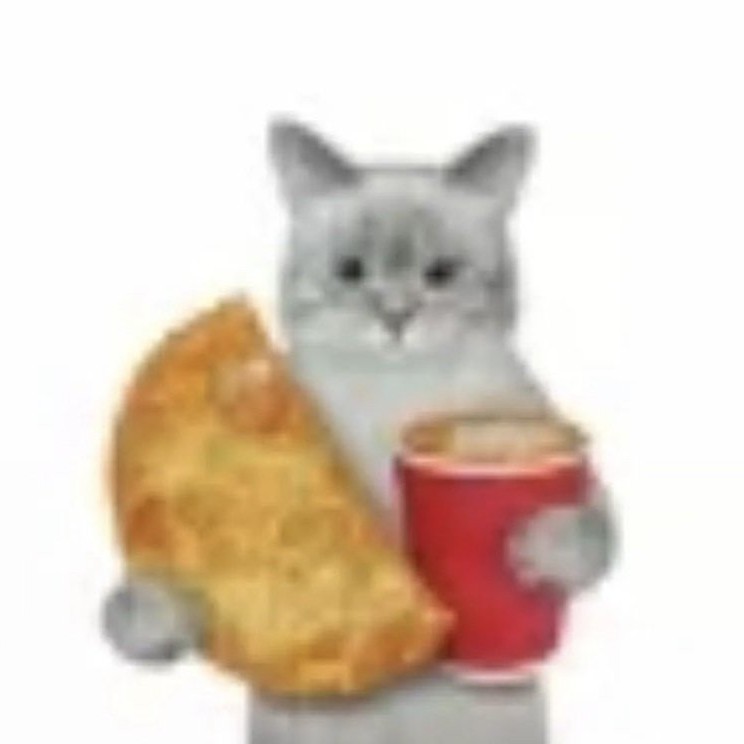 my retweets tweet media