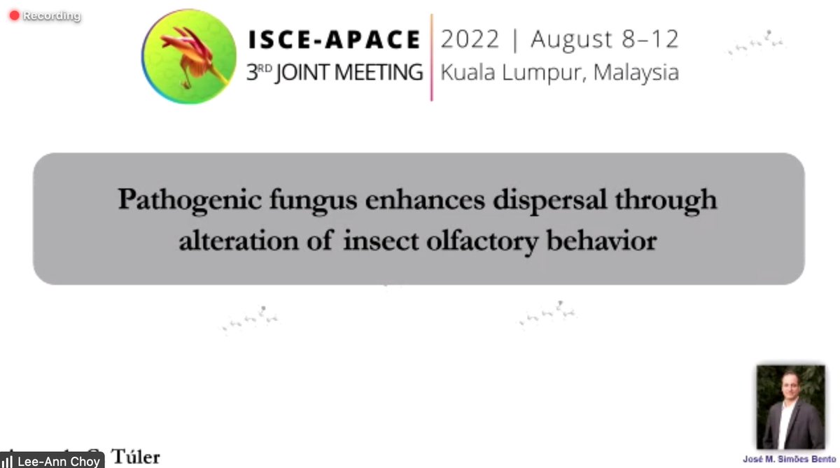Happening now: Amanda Tuler from <a href="/ESALQMidias/">ESALQ/USP</a> is presenting at #ISCE_APACE joint meeting in Kuala Lumpur. She is <a href="/ChemEcol_org/">International Society of Chemical Ecology</a> travel award winner
