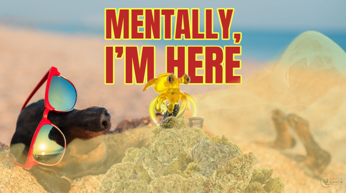 upperlimitsinc's tweet photo. I feel this #midwest 

#Illinois #upperlimitsinc #mentalvacation https://t.co/qGd5rcShL0
