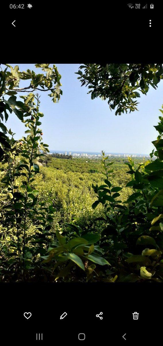 AStablize's tweet photo. #Mersin #ahmetgunestekin #sanat #bitkisoklama #okaliptüs #kurucicek #istanbul #düğün #nişan #söz #gelinbuketi #islakkale https://t.co/GLnZkStSUI
