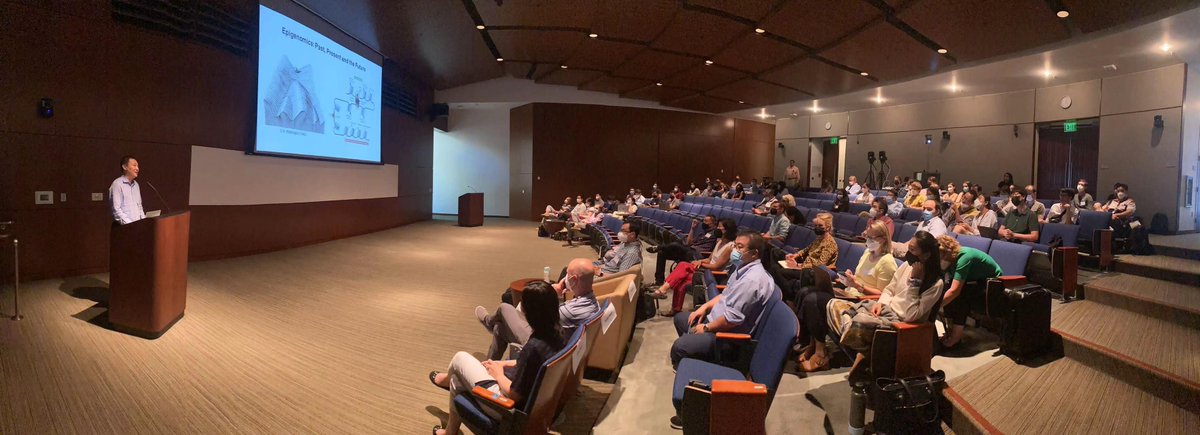 Yin Shen tweet media