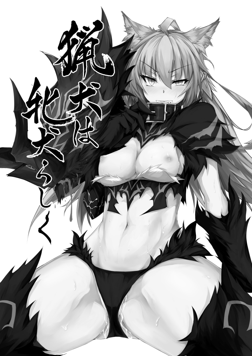 [R-18] 【C100】FGOアタランテ 総集編出ます【2日目】 #漫画 #アタランテ #Fate/GrandOrder #アタランテ・オルタ #C100 #FGO #アタランテ(Fate) https://t.co/VLlQbAK8iT 