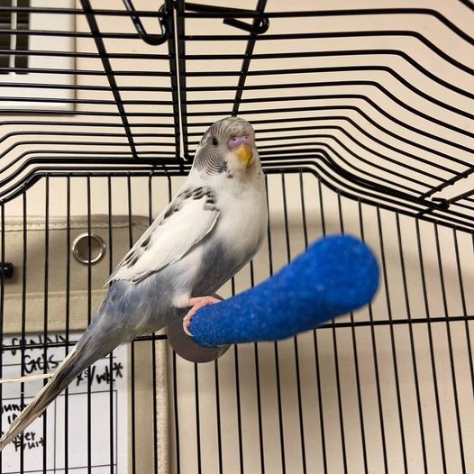 Chowder just wanted to drop by and say HI! We hope to see you soon at one of our amazing events!