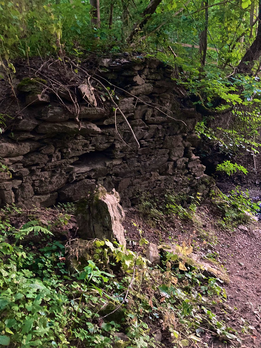 PawSpitzfamily's tweet photo. Good morning friends 🥰 We were exploring 🤩🐾
Have a nice Thursday 🎈#dogsoftwitter #spitzfamily #dogs #walk #nature #goodmorning #dogsfriends #happydogs #fun #enjoy https://t.co/VhRwxFgPyL