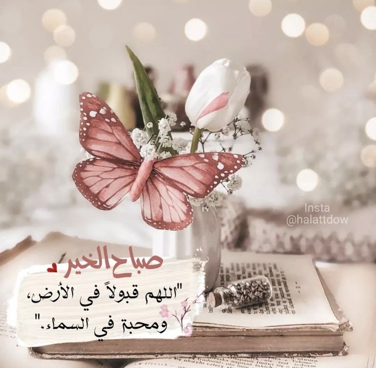 صٌبِأّحٌګمَ نِوِر يِّمَلَأ أّرجِأّء أّلَنِفَِّّس , وِطّهِر يَِّّسمَوِ بِأّلَأروِأّحٌ
 وِعٌذّوِبِةّ تّشٍدِوِ بِهِأّ عٌصٌأّفِّيِّر أّلََّسمَأّء
صٌبِأّحٌګمَ ګلَمَأّتّ تّبِعٌثّ أّلَأمَلَ
💛