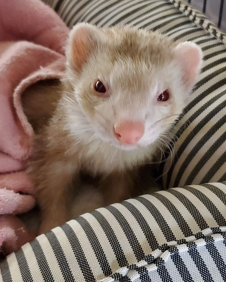 Are you sure Monday is 
tomorrow? Willow isn't ready for the week just yet.