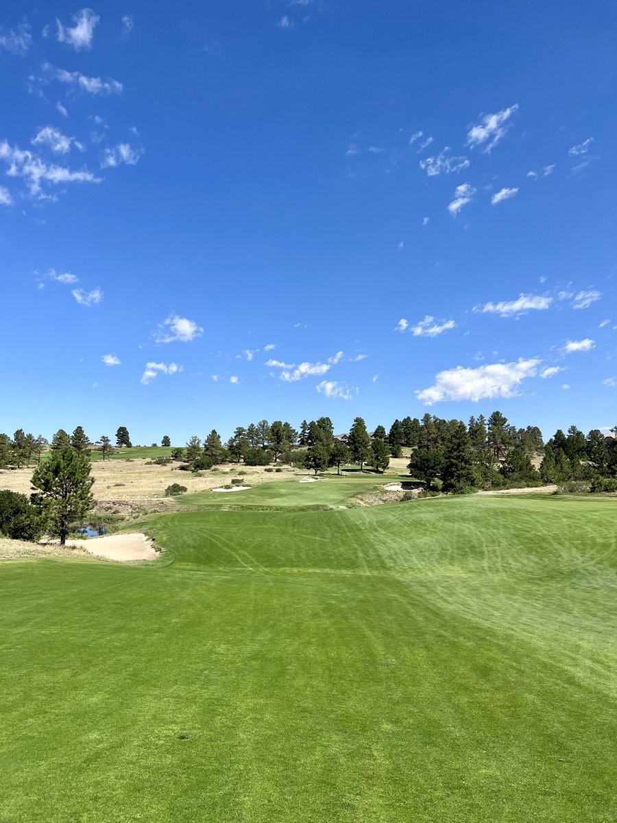 Ian Critser tweet media