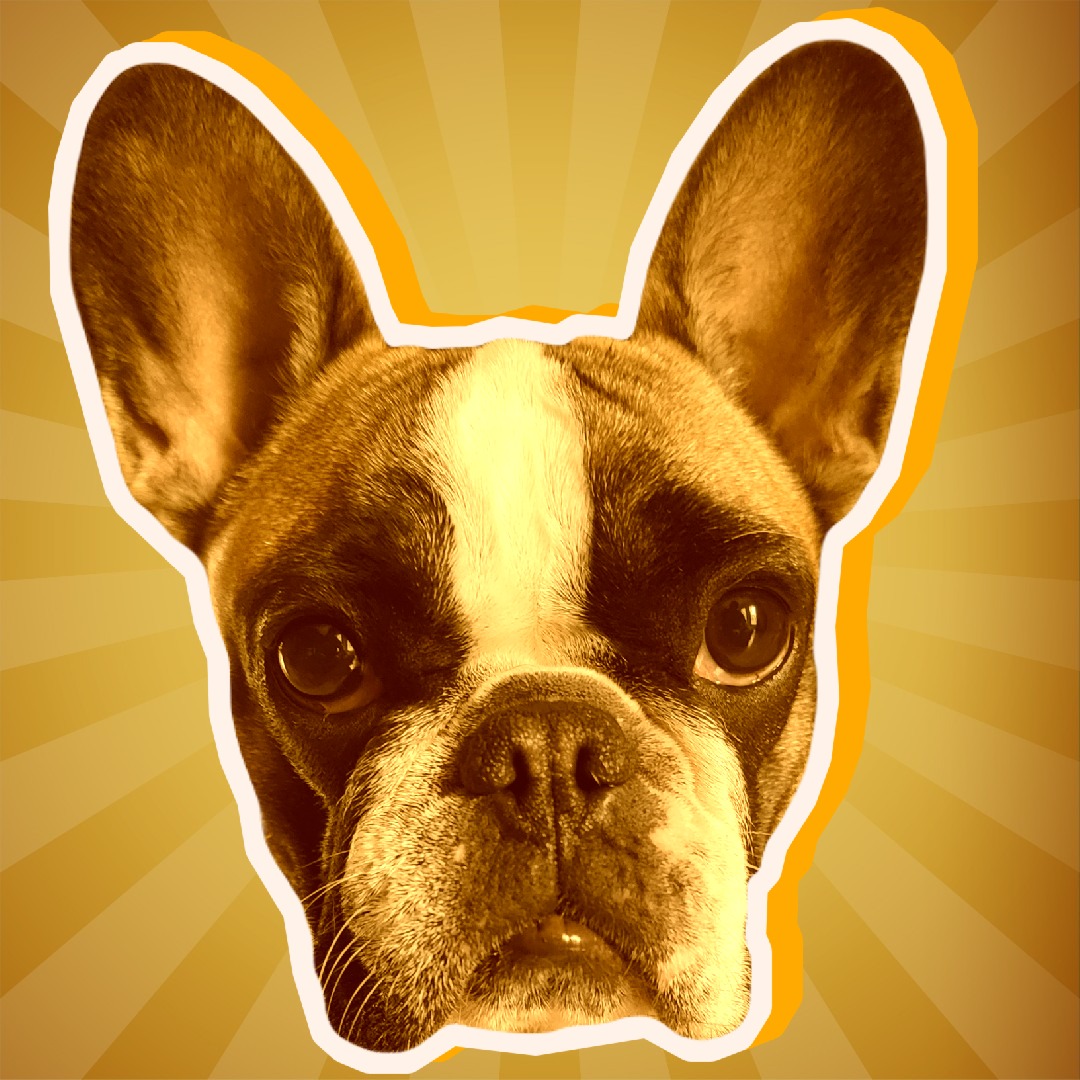 chateaufrenchie's tweet photo. Fooling around with @pixlr editing. 

#chateaufrenchie #frenchies #frenchbulldog #bulldog #bulldogs #frenchie #frenchie #frenchbulldog #frenchielove #instafrenchie #frenchieoftheday #frenchiegram #frenchbulldogs #squishyfacecrew #frenchiepuppy #ilovemyfrenchie #frenchielife https://t.co/SuTZq2BHRi