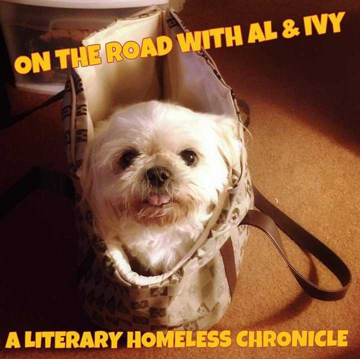 KathleenHarrym1's tweet photo. #RT #BoogieUnderground
On The Road With Al and Ivy:
A Homeless Literary Chronicle: Mental Illness, Jack London, John Steinbeck, A. Conan Doyle, Ivy's modeling career, update and notes on final draft.
π https://t.co/q16fC6XtBS
@alhanda https://t.co/Ebsw8Ri18I