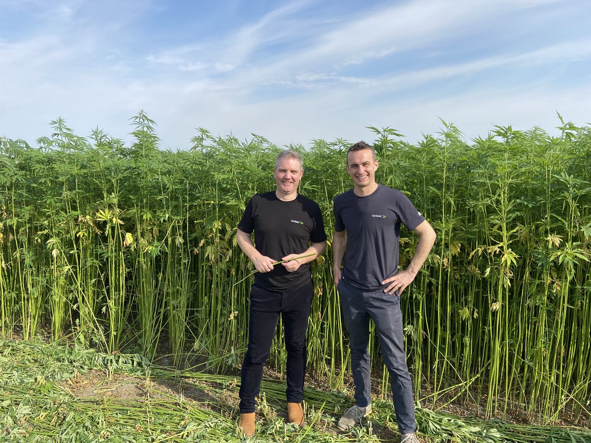 Carrfields tweet media