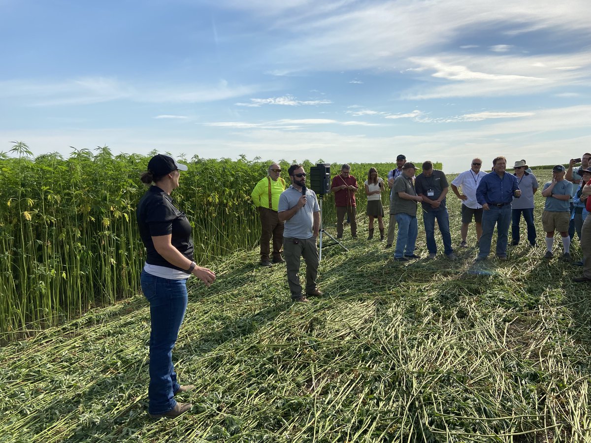 Carrfields tweet media