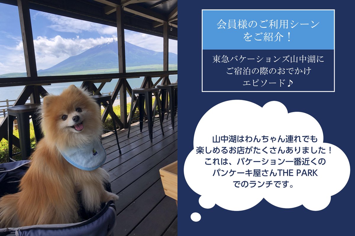 tokyuvacations's tweet photo. 東急バケーションズ山中湖の周辺情報のご紹介😊
#長池親水公園
施設から程近くこちらでの記念撮影を欠かさないという会員様も多い、富士山ビューがすばらしい人気のスポットです。
#THEPARK
富士山と山中湖が目の前に見えるテラス席がおすすめ。
ペットと一緒にお楽しみいただけます♪ https://t.co/yBWo6GhDzF