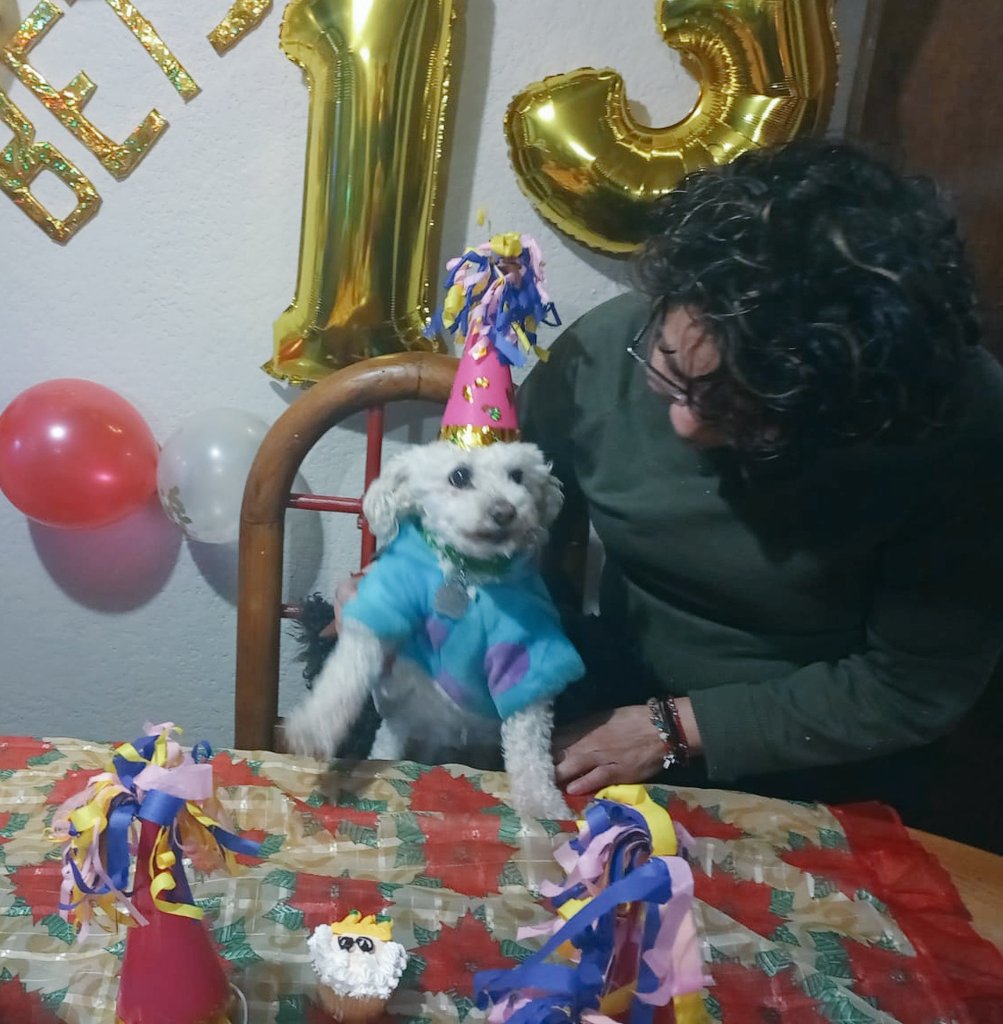 magdisgg's tweet photo. Mi mamá le organizo una fiesta de cumpleaños a mi perrita porque decía que no sabíamos cuando seria el último cumpleaños de Betsy.
Ella hizo las letras, los gorritos y adorno la casa. 
Y  en realidad fue su forma de despedirse de su perrita.
Betsy todavía la espera en la ventana. https://t.co/8hjr2PBs5E