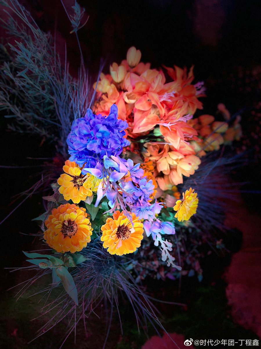 TNT_LATAM's tweet photo. Ding Chengxin actualizó en Weibo 

"Tomé algunas fotos de las flores con las que me tope en la filmación del otro día "

(07/08/22)
#DingChengxin #Chengxin https://t.co/D5R0sb0NpR