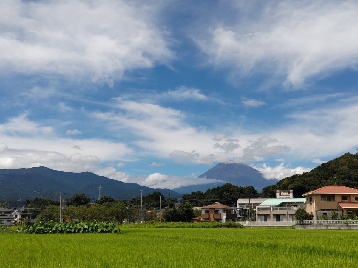 久しぶりに富士山見えた 私ほんとは旅行好きなんだけどもう10年以上行くに行けず、毎年この時期ふさぎ込む かわりに打ち込みたい楽器はうまく行かずまたエアコン壊れた でもそういう人いっぱいいるんだろうなと思ってその誰かに向けてつぶやいてみる。