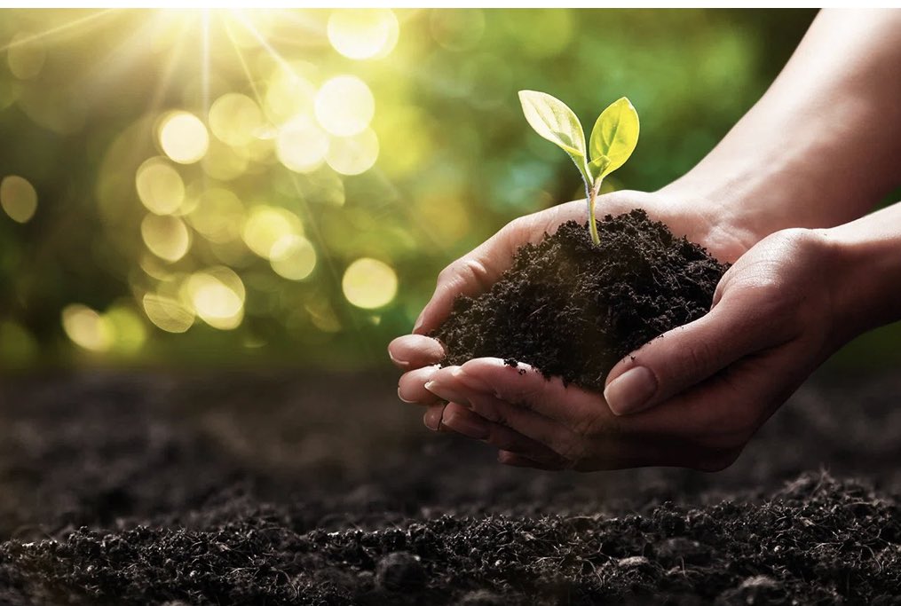 vatsalapg's tweet photo. @SadhguruJV @UNCCD For years, we ignored the distress signals that our soil has been sending. Though soil is on the verge of extinction, an integrated action with right policies can turn the events. #SaveSoil https://t.co/DSyItE9xEJ