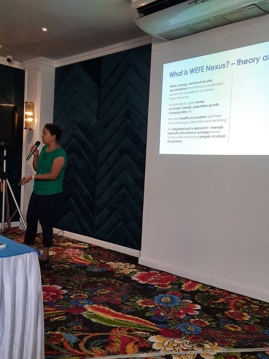 Dr. Sunita Chaudhary <a href="/icimod/">ICIMOD</a> shared WEFE Nexus Approach in <a href="/RiversTROSA/">TROSA</a> sustainability workshop