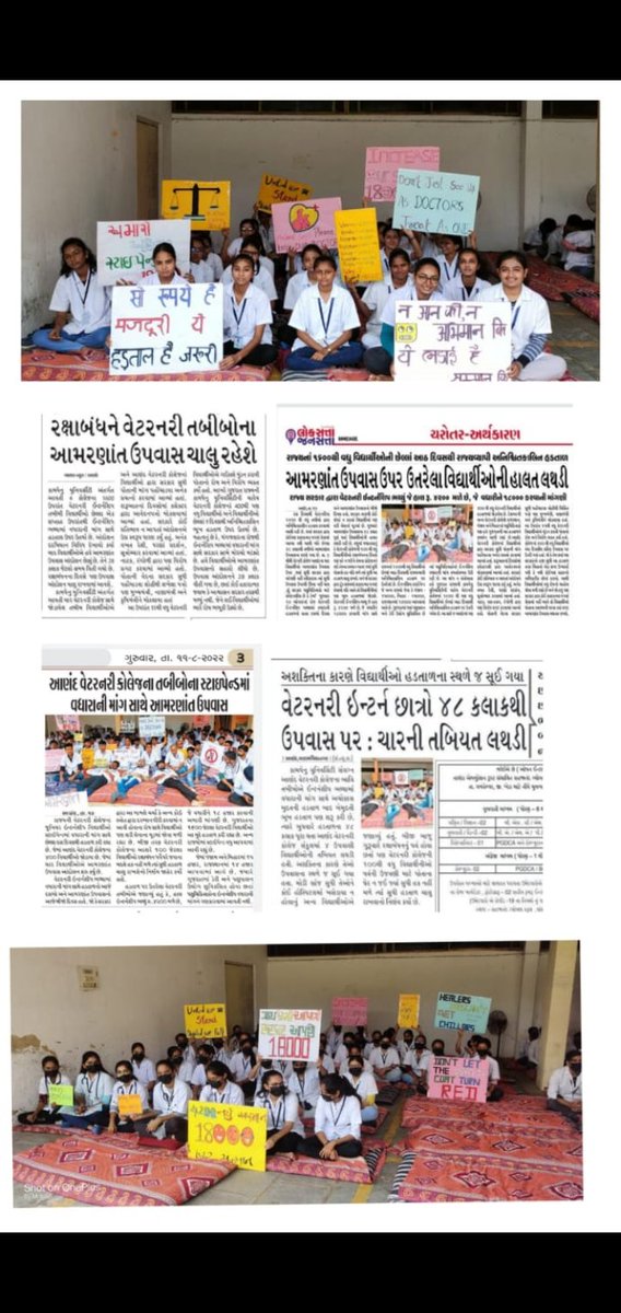PUKHRAJ30296371's tweet photo. CM સાહેબ @Bhupendrapbjp @CMOGuj આ દીકરીઓના ચહેરા જુઓ, આજે તેઓ રક્ષાબંધનના દિવસે અહીં બેઠા છે, શોખથી નહીં પણ મજબૂરીથી. જો તમે @KanuDesai180 સંવેદનશીલ હોવ તો તરત જ તેમની માંગણીઓ સાંભળો!
#Day_11_of_guj_vets_on_strike
#Increase_Guj_Vet_Stipend
#guj_vet_union @CRPaatil @BJP4Gujarat https://t.co/uskm0jKkDw