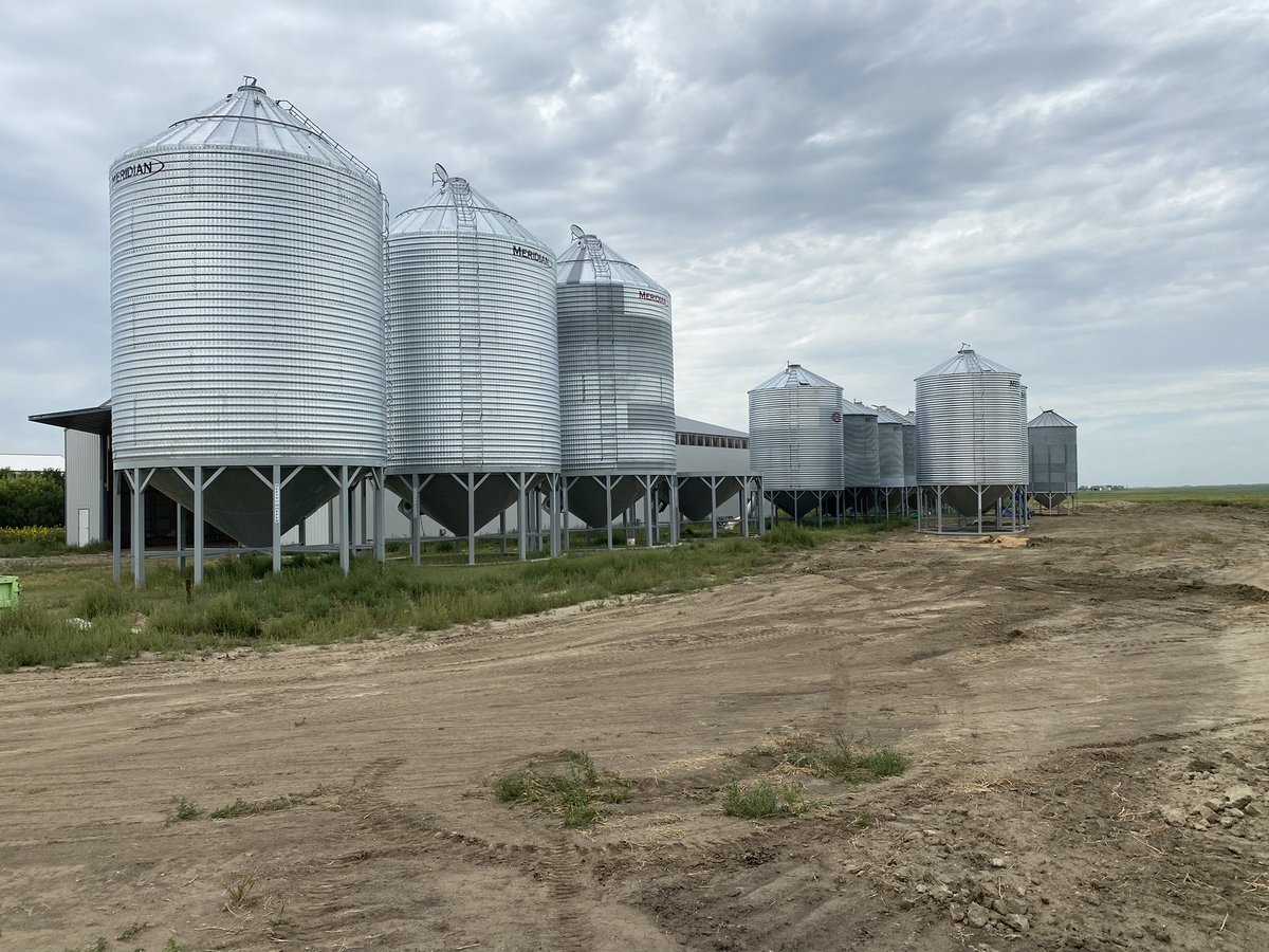 Cary Wock tweet media