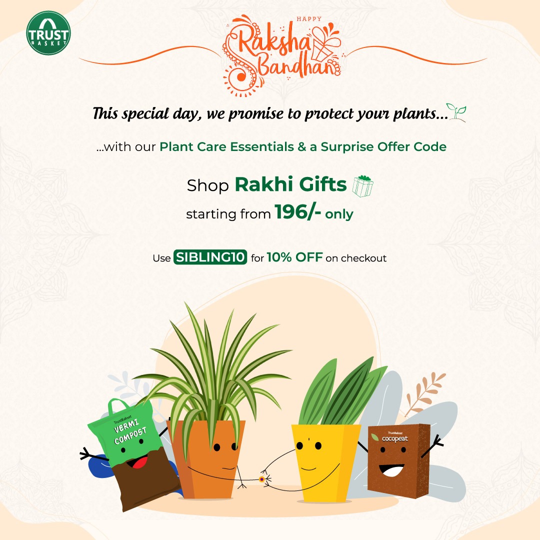 TrustBasket's tweet photo. Do you shower the same love on your plants as you shower on your family❓ Well, then you have Plant Siblings too😍.

Visit the link: https://t.co/knusmcGRfO and take advantage of this great deal🥳. Happy Raksha Bandhan😍 https://t.co/C2xLo6ryg1