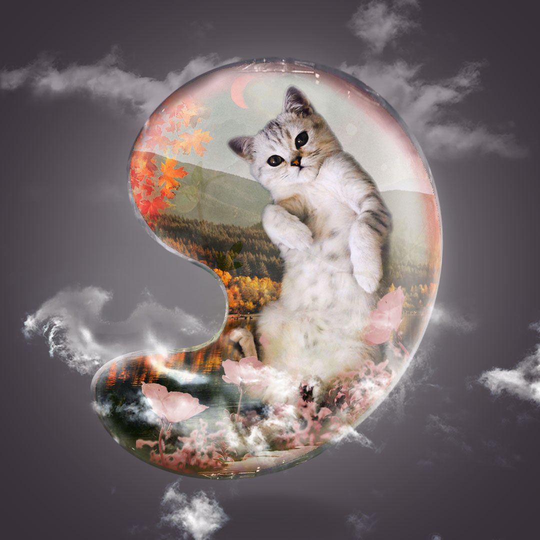 hiro_creat's tweet photo. @umitsuru_fire 宣伝を失礼致します。

売上の70％を保護猫活動に寄付する「猫NFTコレクション」を1点もののNFTとして販売しております😺

気に入って頂ければ、ぜひご覧ください！ https://t.co/8Aj4aUDAUu