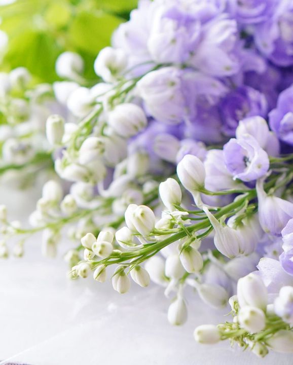 BloomableShop's tweet image. Do you know the name of this flower?