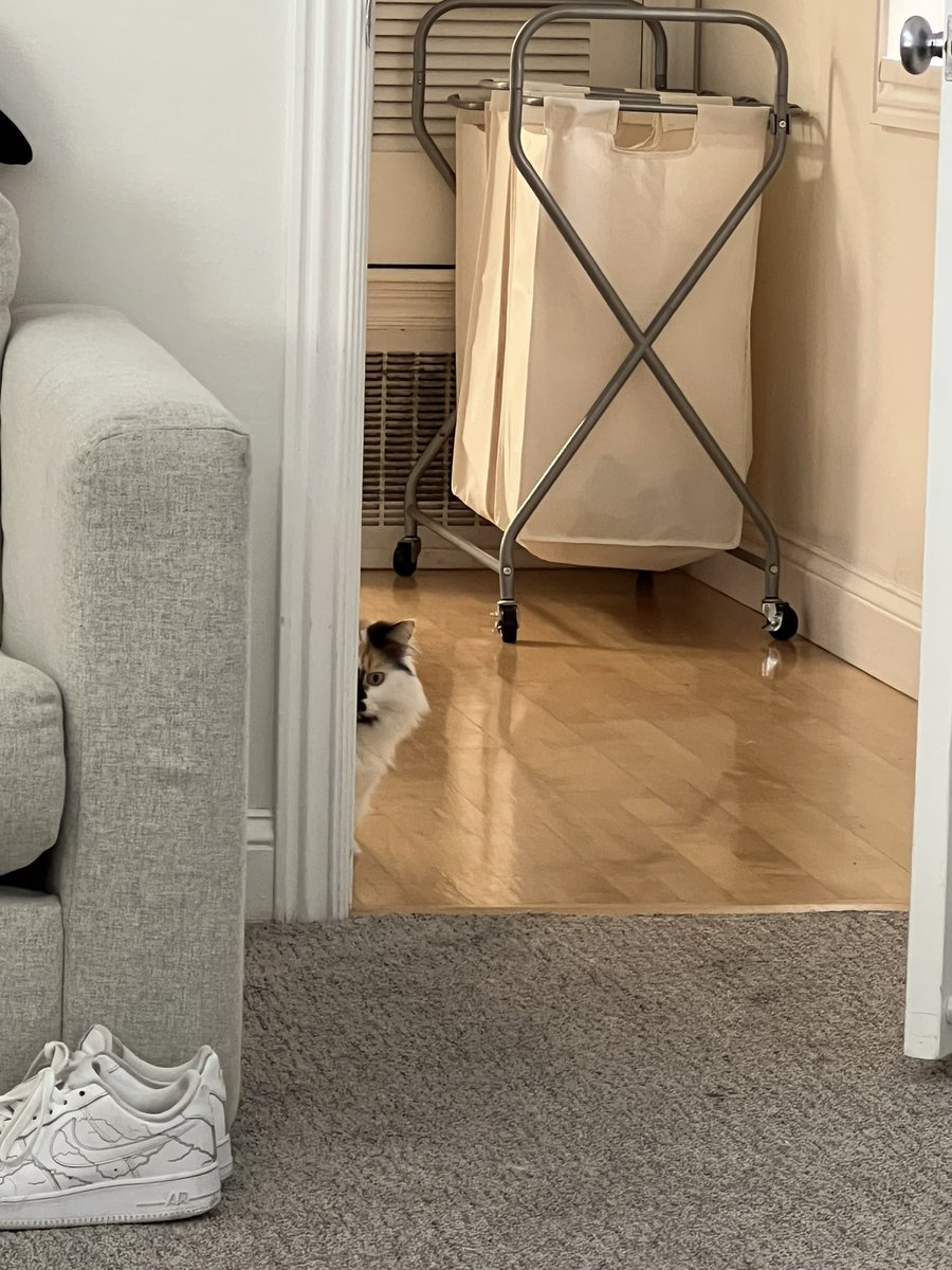 micagarridom's tweet photo. Observándome 👀 https://t.co/NkDHstMTAS