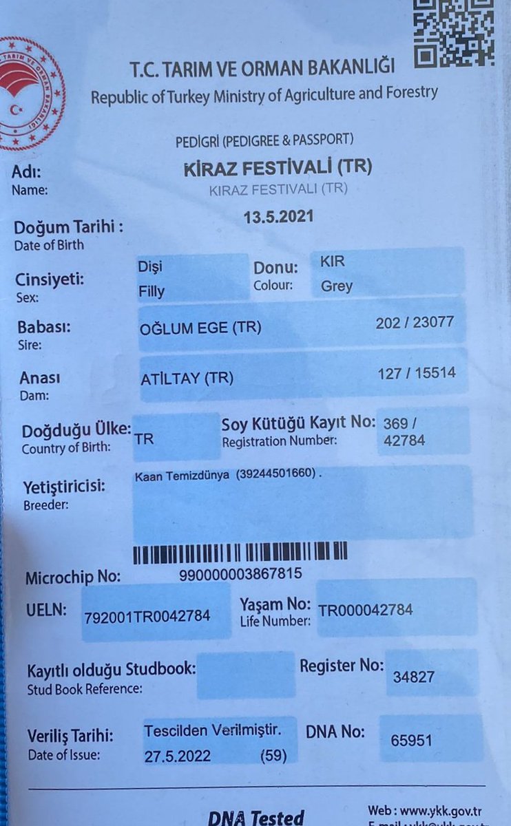 MetinMfg's tweet photo. #SatılıkTay 1 buçuklu #Araptay OğlumEge Atiltay/Palaz kır dişi tayı maliyetinin altında ihtiyaçtan satışa çıkmıştır.sadece 30.000 TL 05362458068 @kaantmzdny https://t.co/7VBsL3ZAjP
