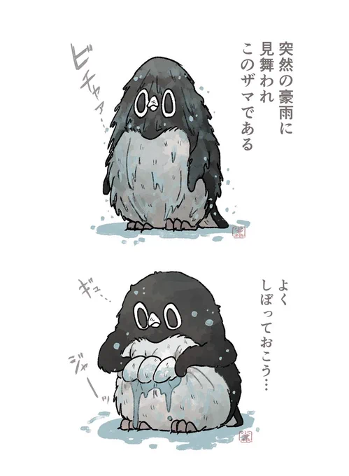 【ゲリラ豪雨】
突然の豪雨でびちゃびちゃになったアデリーペンギン。☔
#アデリーペンギン 