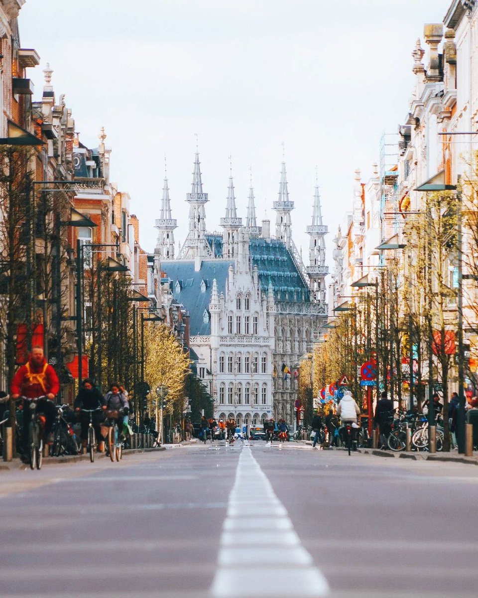 Travel Tomorrow tweet media