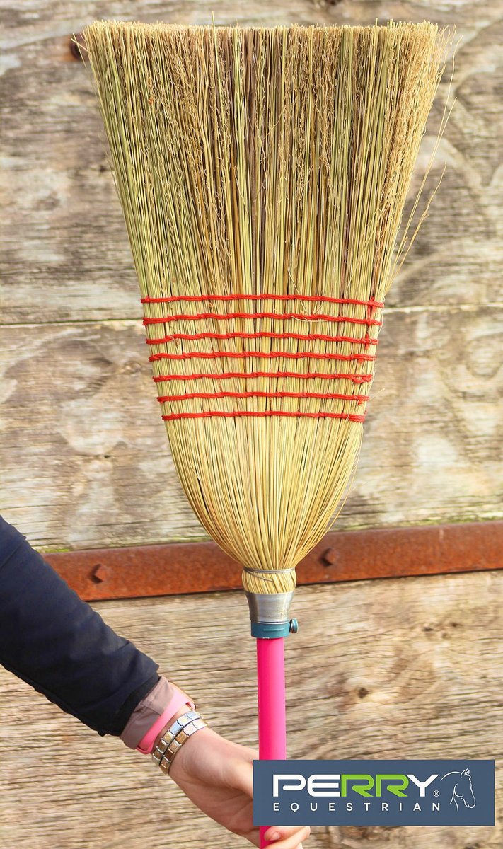 Perry Equestrian tweet media