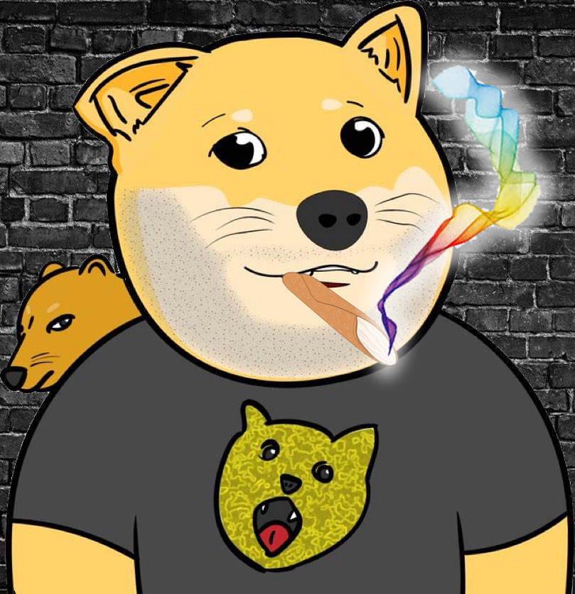 inevitable360's tweet photo. @tjstebbing @Real_Shibes @michilumin What are you saying?  🤣🤣🤣🤪 https://t.co/nurmbYk6GG