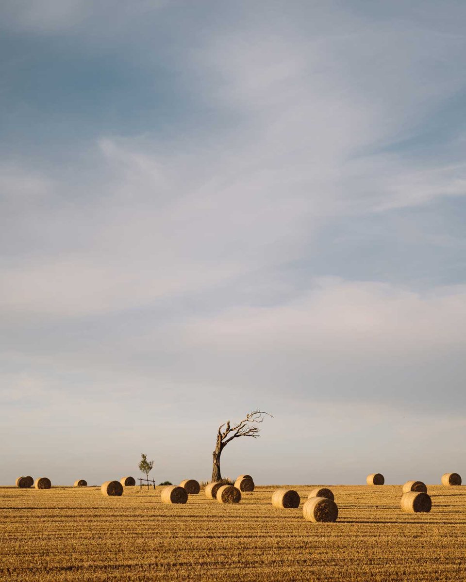 Finally. It’s that time of the year that tractors get out of their barns and take giant tractor dumps everywhere 🚜💩

#NorthernIreland #DiscoverNI