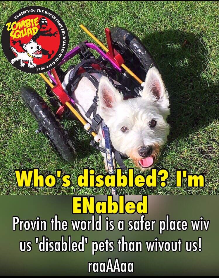 #ThrowbackThursday where it all began! RaaAaAaa!!! 💖 #ZSHQ