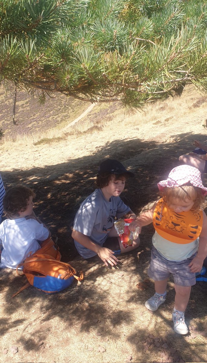 Mireille Labeille tweet media