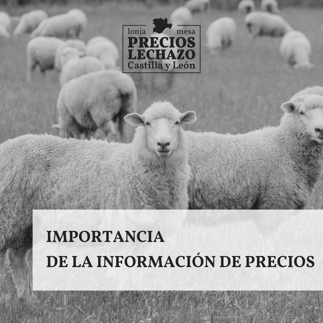 MLechazo's tweet image. ¿Por qué es tan importante la información de los precios en este sector?

✔️Reforzar la posición de los agricultores en la cadena de valor
✔️Regular el precio
✔️Mejorar el funcionamiento de la cadena alimentaria
✔️Mejorar la transparencia y la información en el sector alimenticio