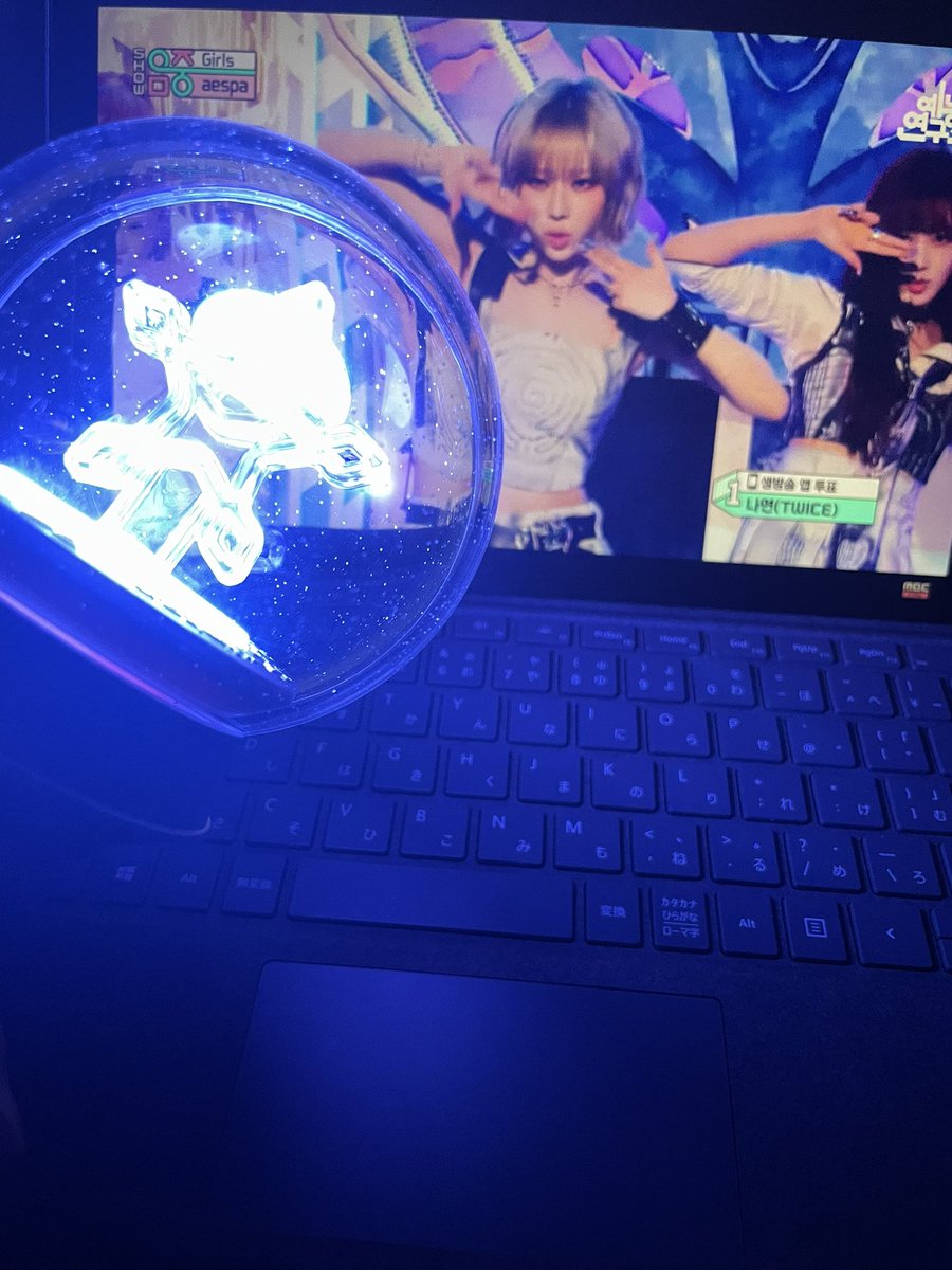 ついにやってしまった