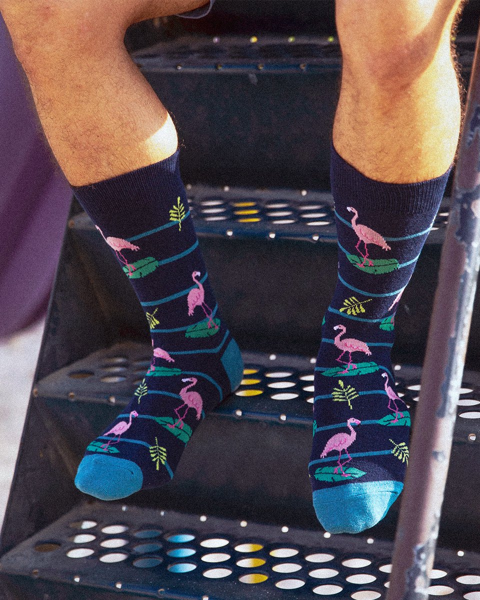 TheSockButler's tweet photo. Watch everyone flock to these socks 🦩👀 https://t.co/qQo23xNAUh