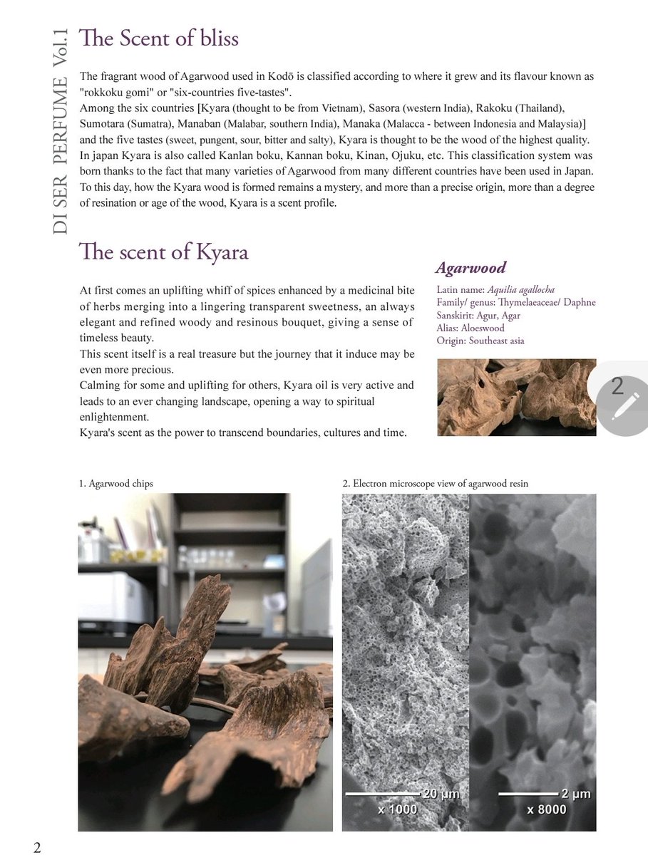 Kafkaesque_Blog's tweet photo. #DISER's owner/nose emailed me after reading my Kyara review. He's a courteous, humble, old school-style gentleman called Yasuyuki Shinohara.
In our talks, he shared a fascinating PDF on oud in Japan, the extraction process used on the unicorn Kyara wood, GC/MS analysis, & more: https://t.co/SHevAppOXs