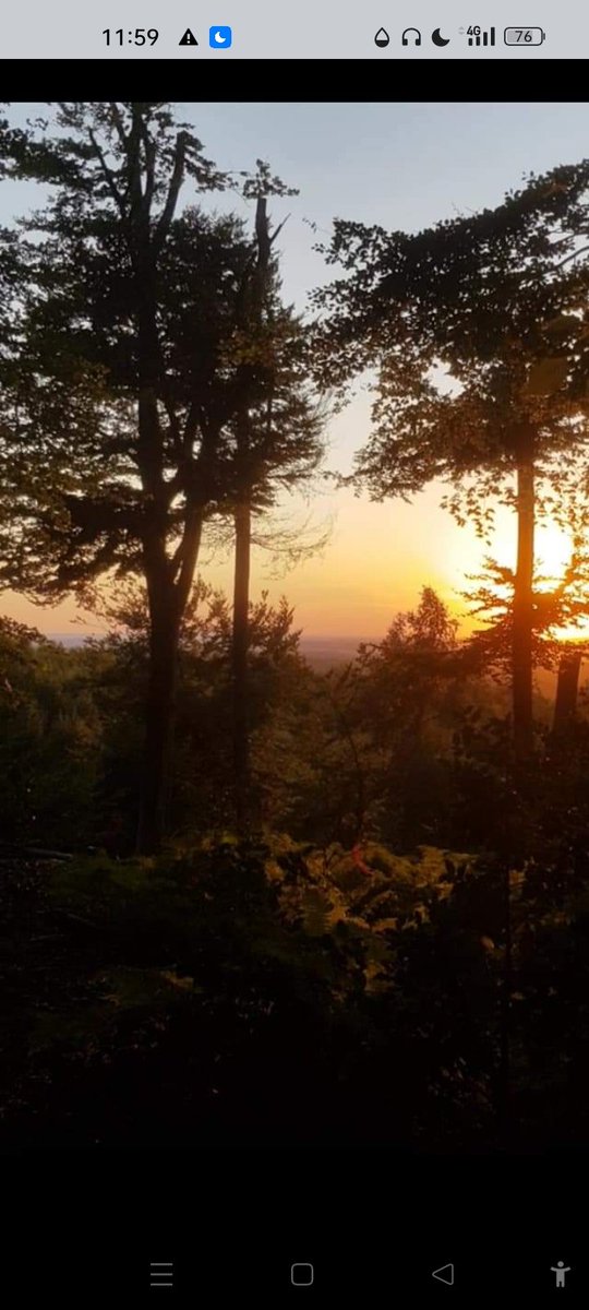 Simonal65407906's tweet image. 