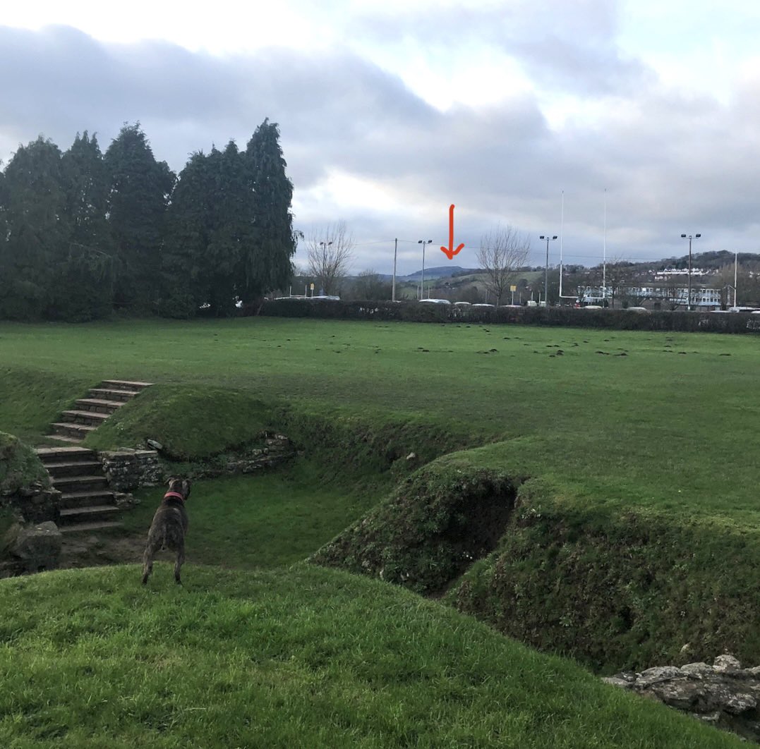 Dr! Adelle Bricking tweet media