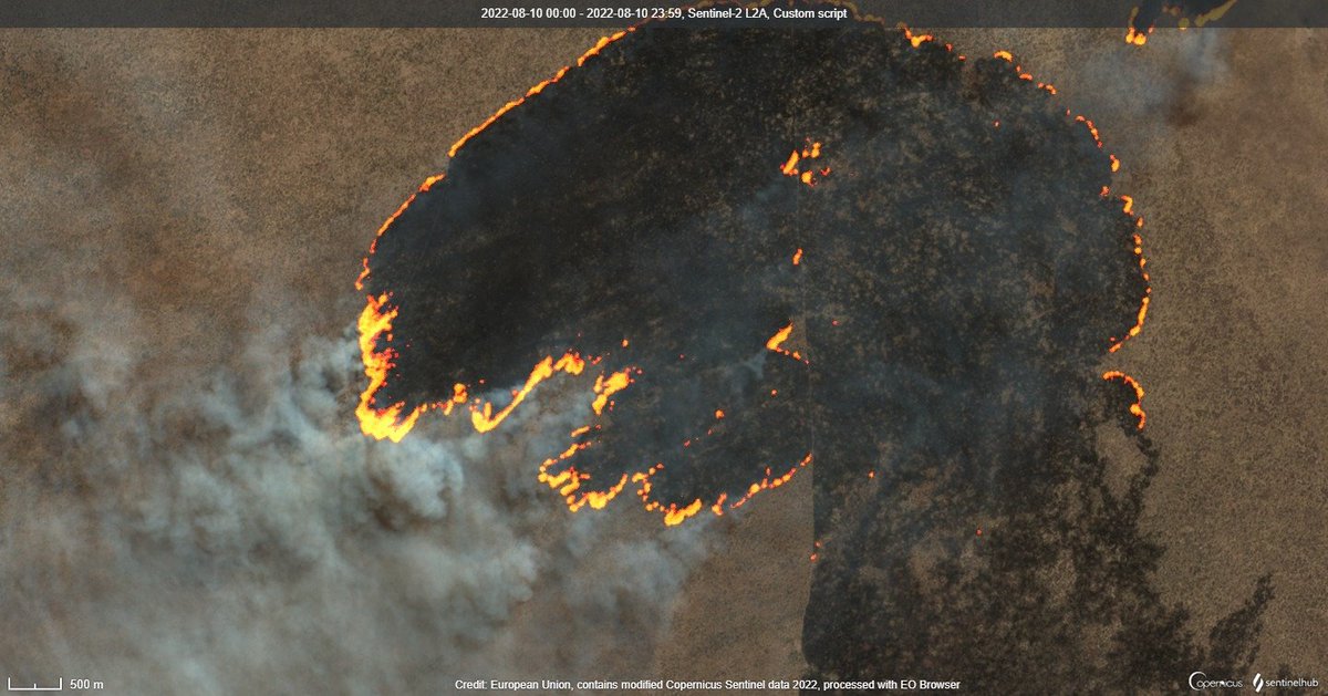WED_explorer's tweet photo. A Fast-Moving Fire in #Boteti, #Botswana🇧🇼
There are fires burning somewhere on the planet every day and satellites help detect them even when no one is talking about them.
the parched veld grasslands have generally seen so little rain that they are primed to burn
@Pierre_Markuse https://t.co/iByCncIKfj
