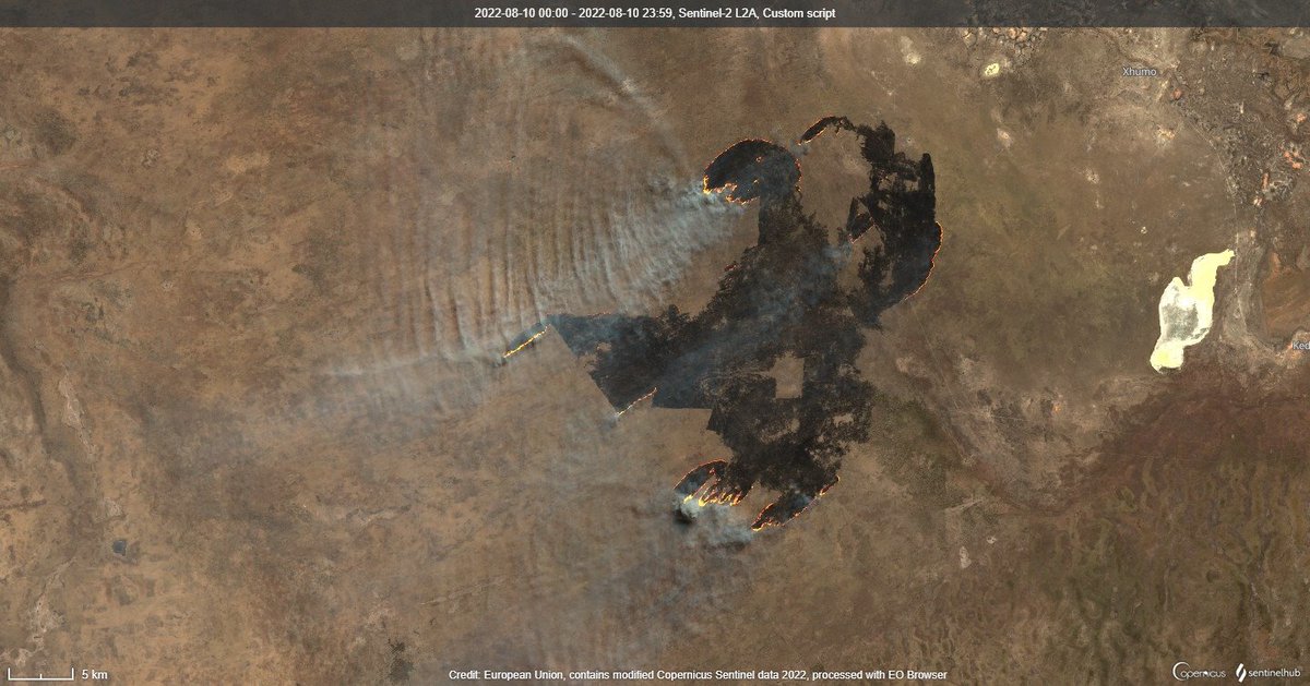 WED_explorer's tweet photo. A Fast-Moving Fire in #Boteti, #Botswana🇧🇼
There are fires burning somewhere on the planet every day and satellites help detect them even when no one is talking about them.
the parched veld grasslands have generally seen so little rain that they are primed to burn
@Pierre_Markuse https://t.co/iByCncIKfj