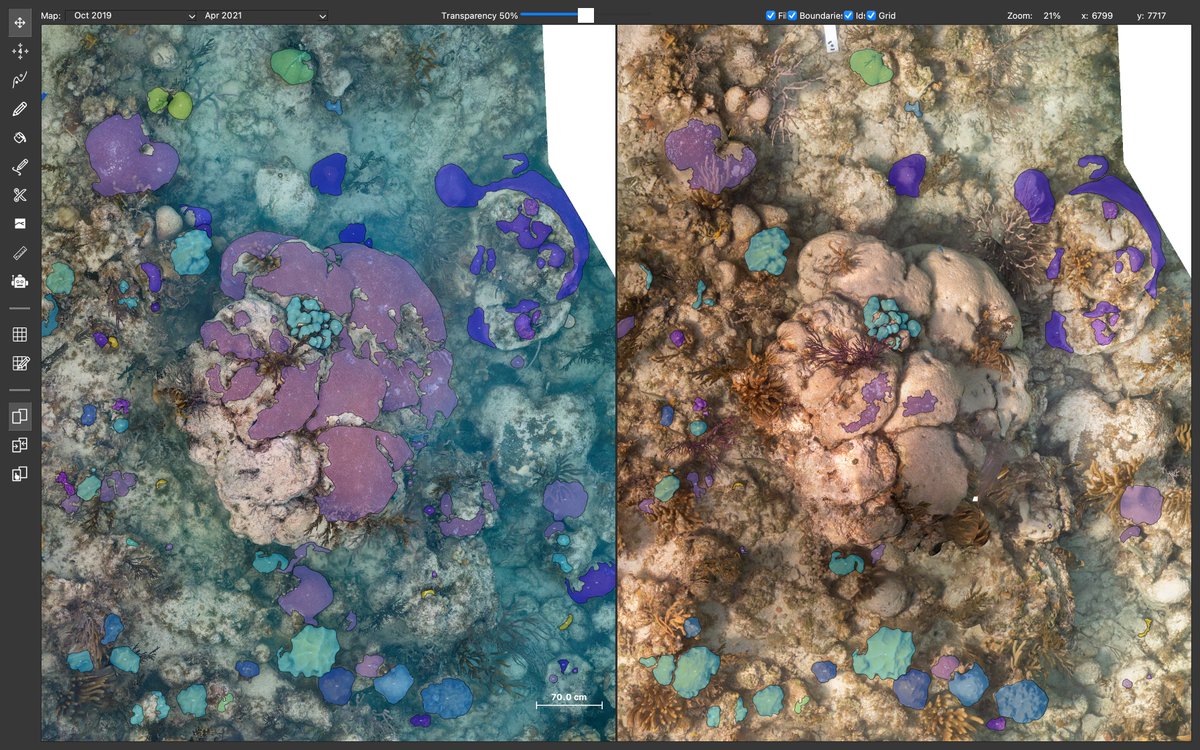 JNCC (@jncc_uk) on Twitter photo This model coral reef is made up of hundreds of overlapping photos using a technique called photogrammetry. At yesterday's C-COT workshop, Will Green <a href="/perryinstitute/">Perry Institute for Marine Science (PIMS)</a> explained how to gather data from imagery to better understand how reefs are changing and inform their management. This model coral reef is made up of hundreds of overlapping photos using a technique called photogrammetry. At yesterday's C-COT workshop, Will Green <a href="/perryinstitute/">Perry Institute for Marine Science (PIMS)</a> explained how to gather data from imagery to better understand how reefs are changing and inform their management.