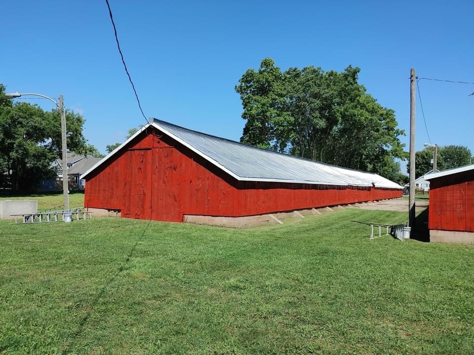 FairHarrow's tweet photo. The barns are got a fresh paint job yesterday! Getting ready for the 166th #Harrowfair. Thanks Mark &amp; Jim Damphouse of Damphouse Painting.  It really spruces up the place.  Painting donated by the Damphouse family. https://t.co/6BSKECRYOV