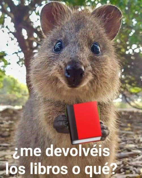 Biblioteca Municipal de Gallur tweet media